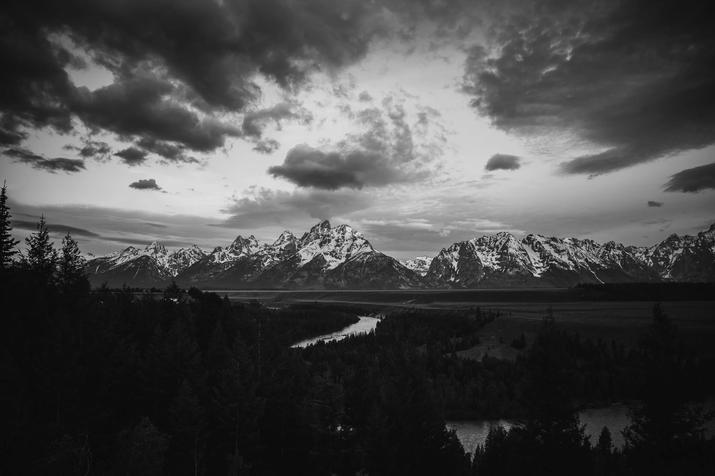 Overview-37.jpg