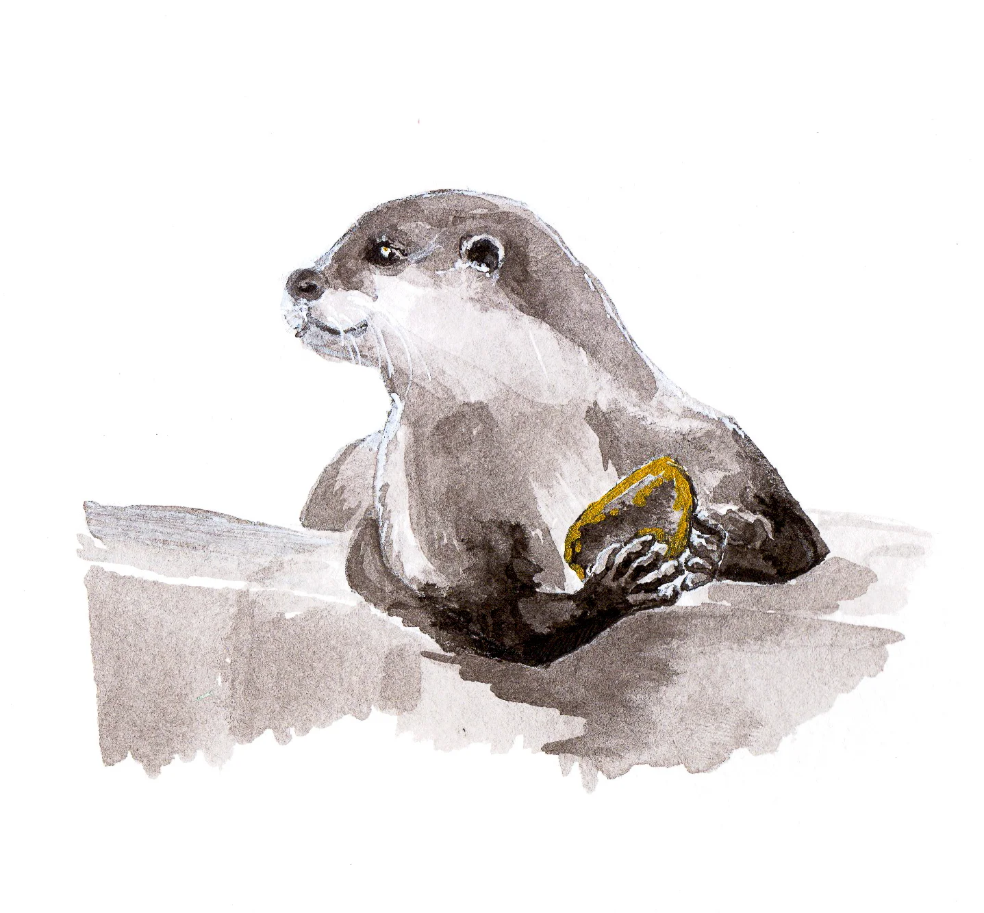 pebble