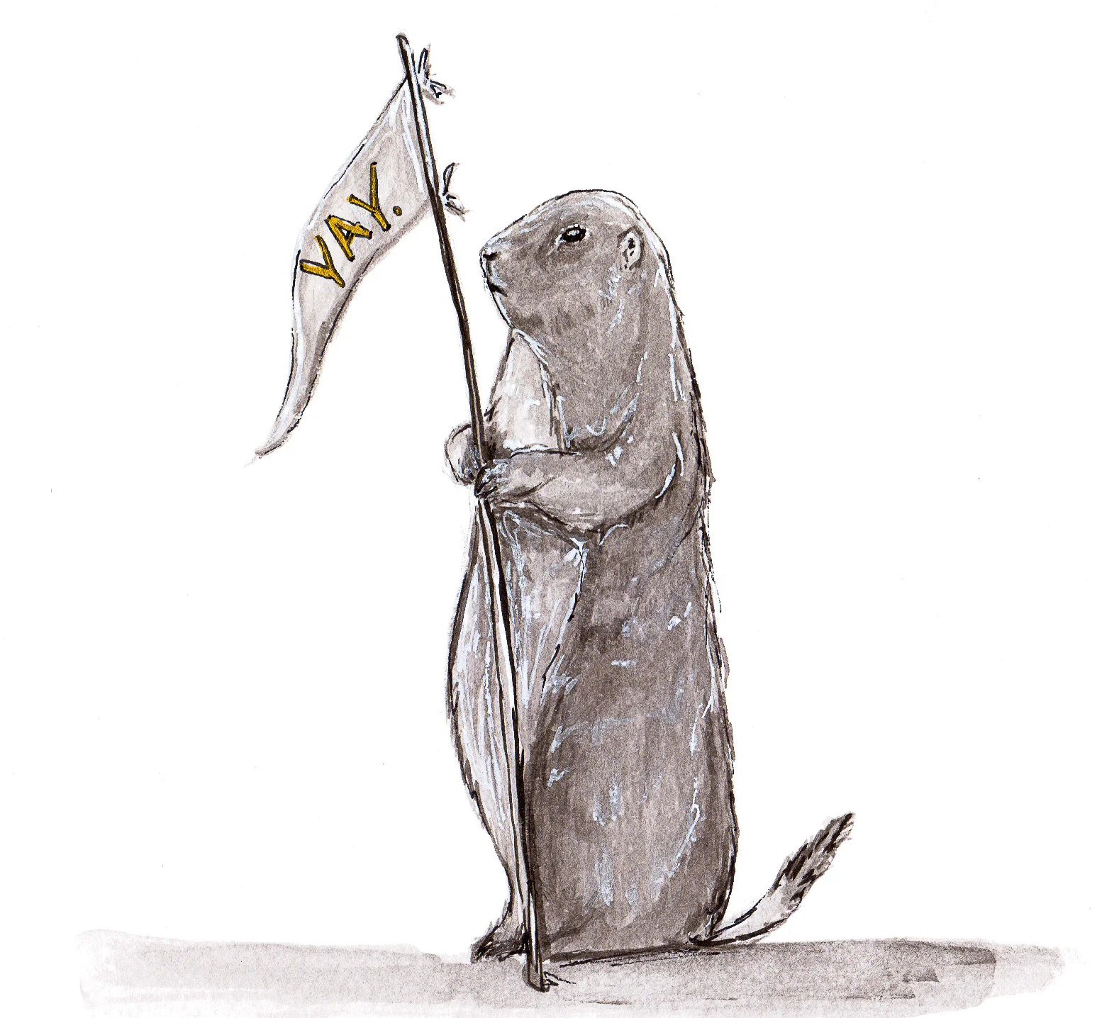 flag
