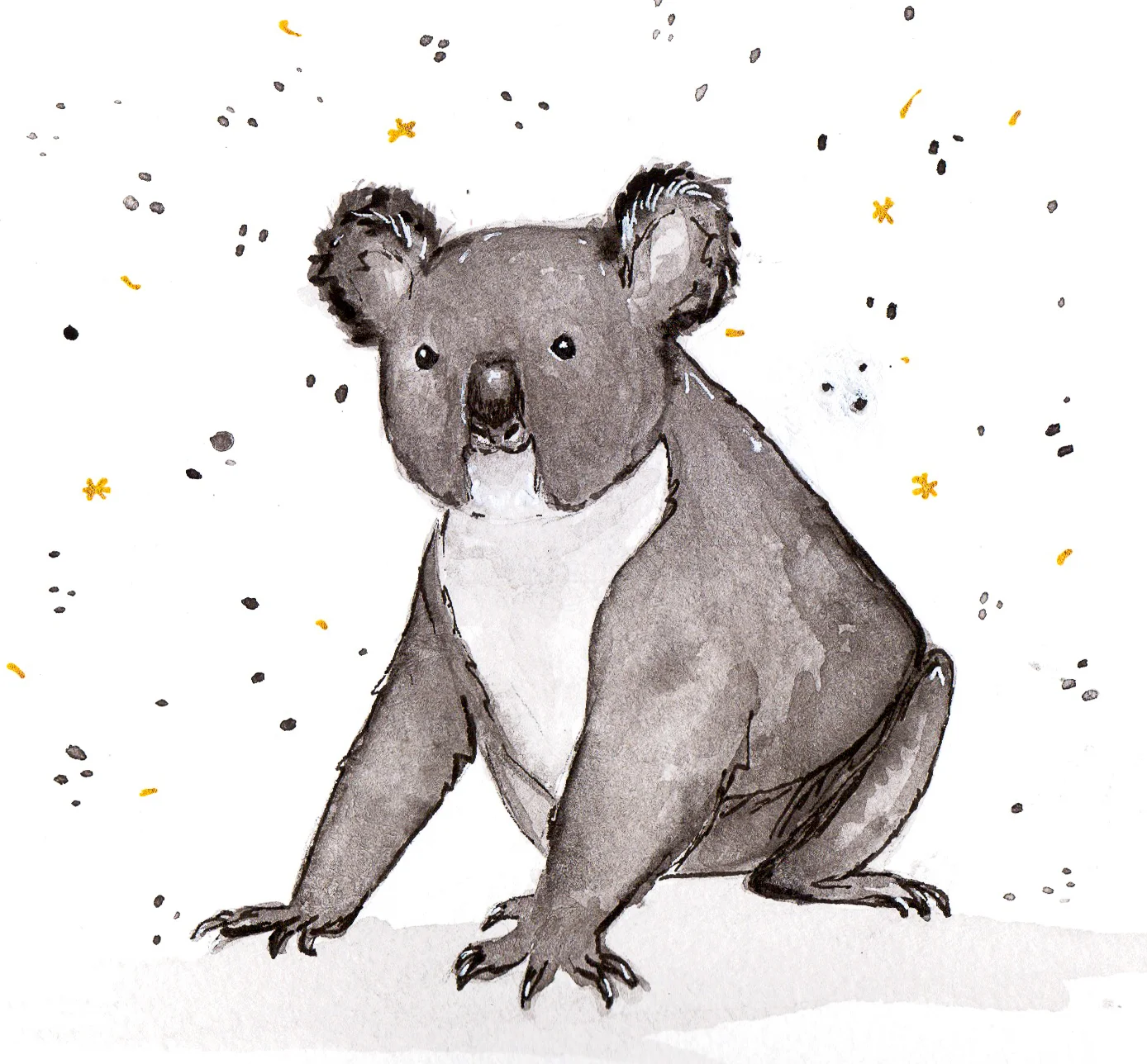 koala