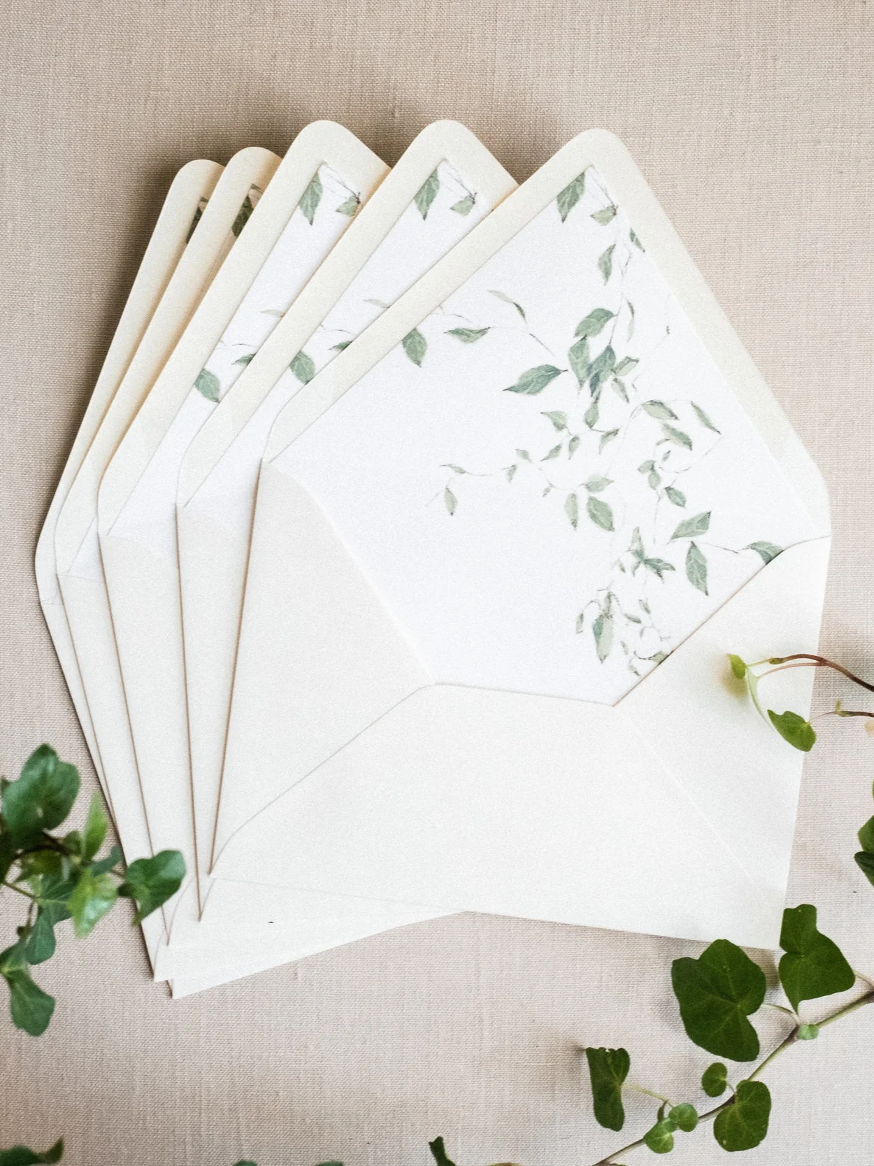 little carabao studio envelope liner