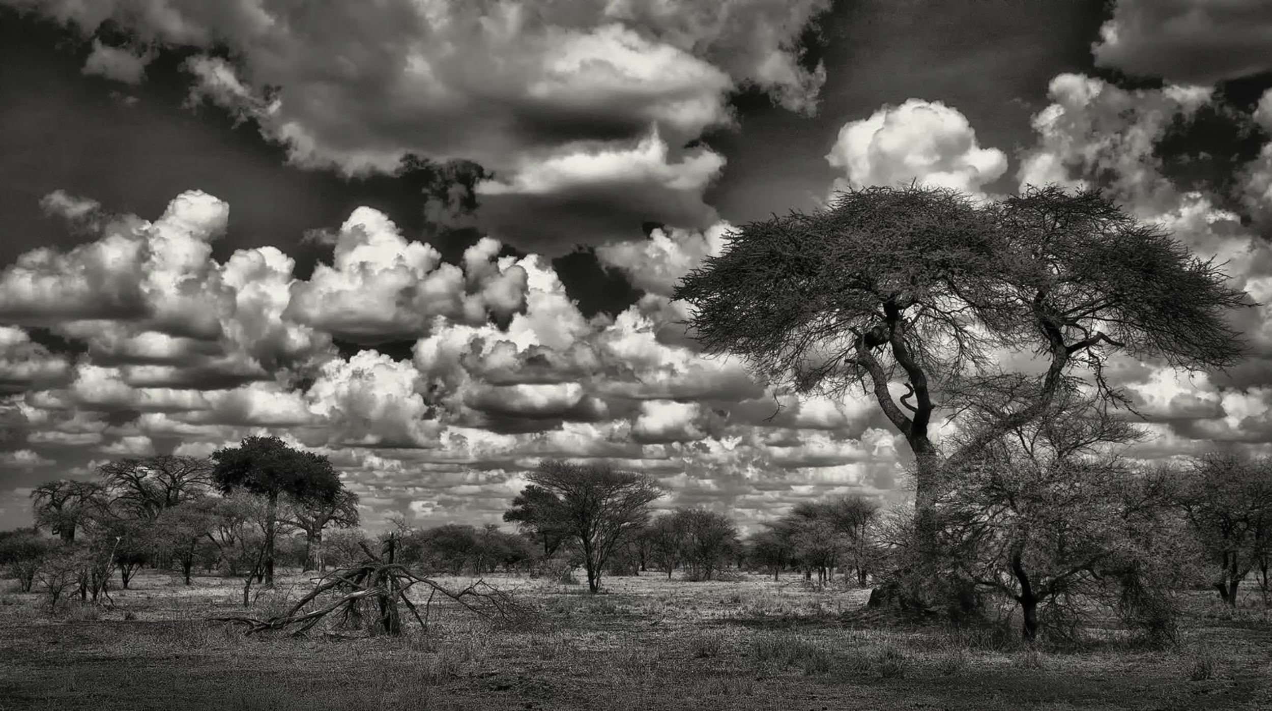 Serengeti Clouds 1