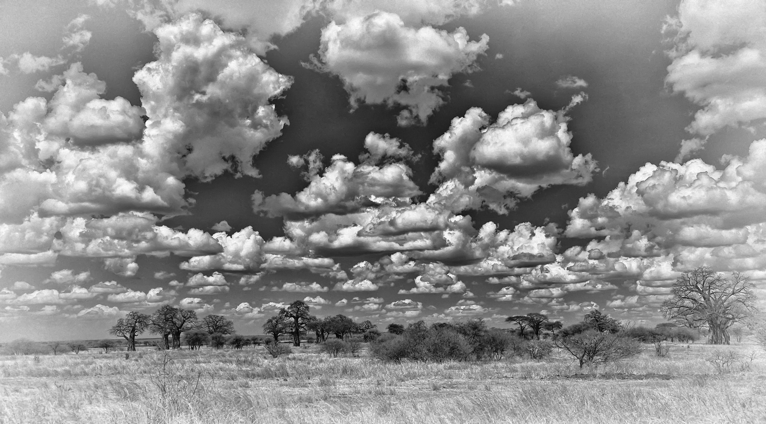 Serengeti Clouds 2