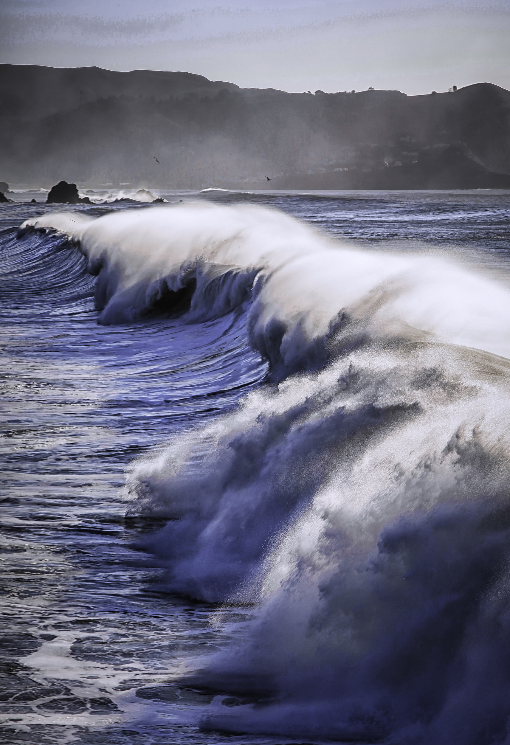 Pacifica Wave