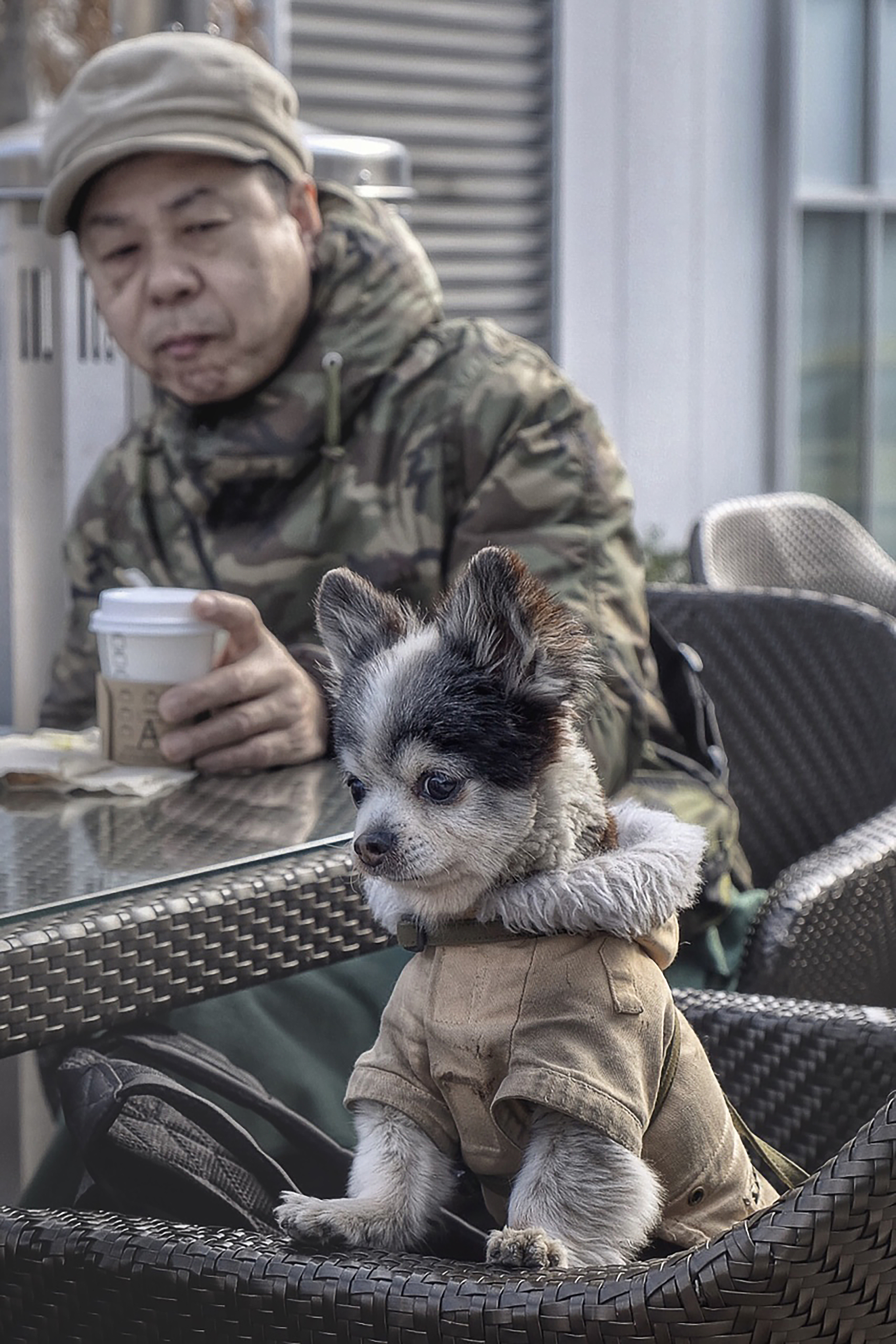 Starbuck's Mascot