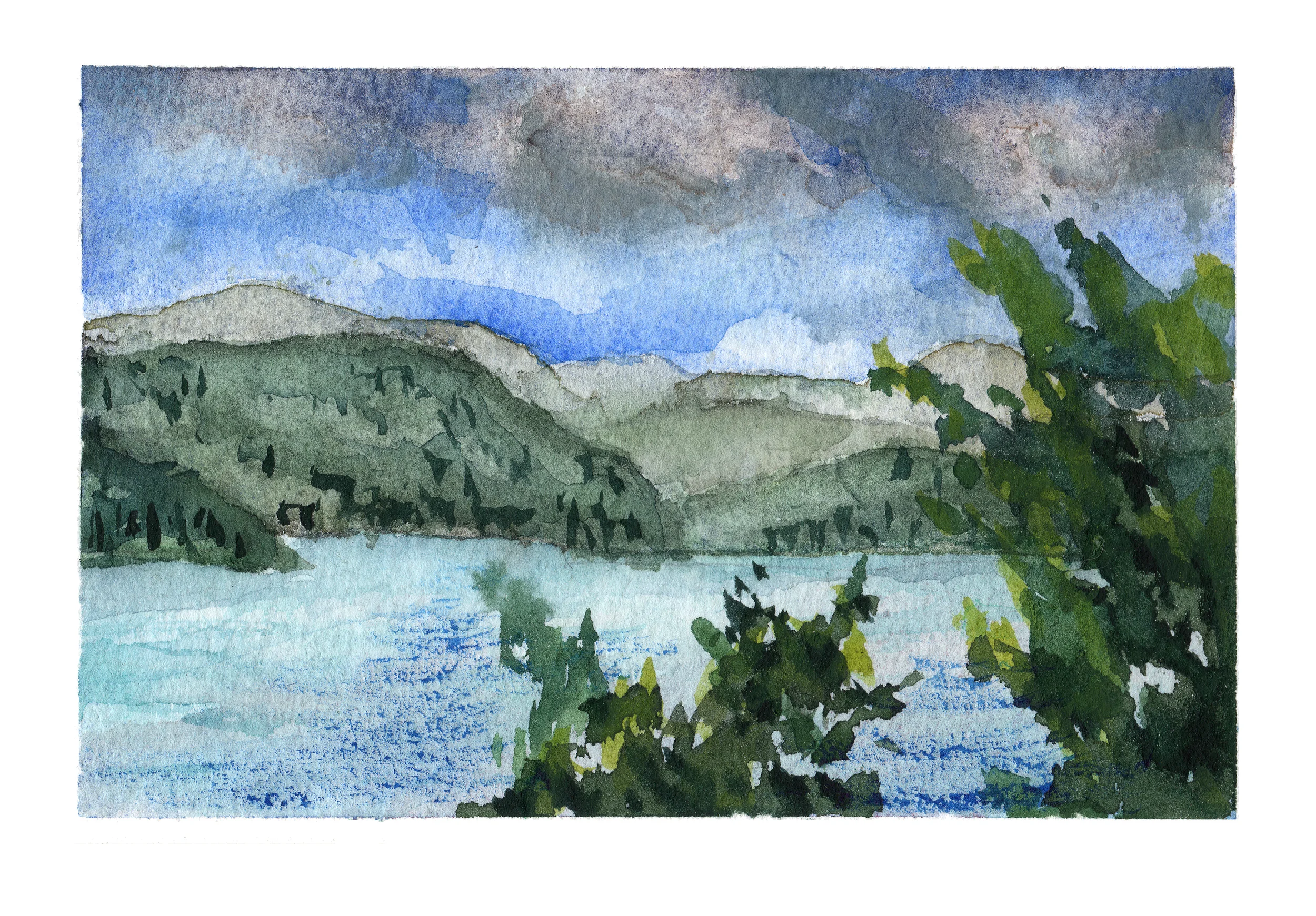 Saltspring View