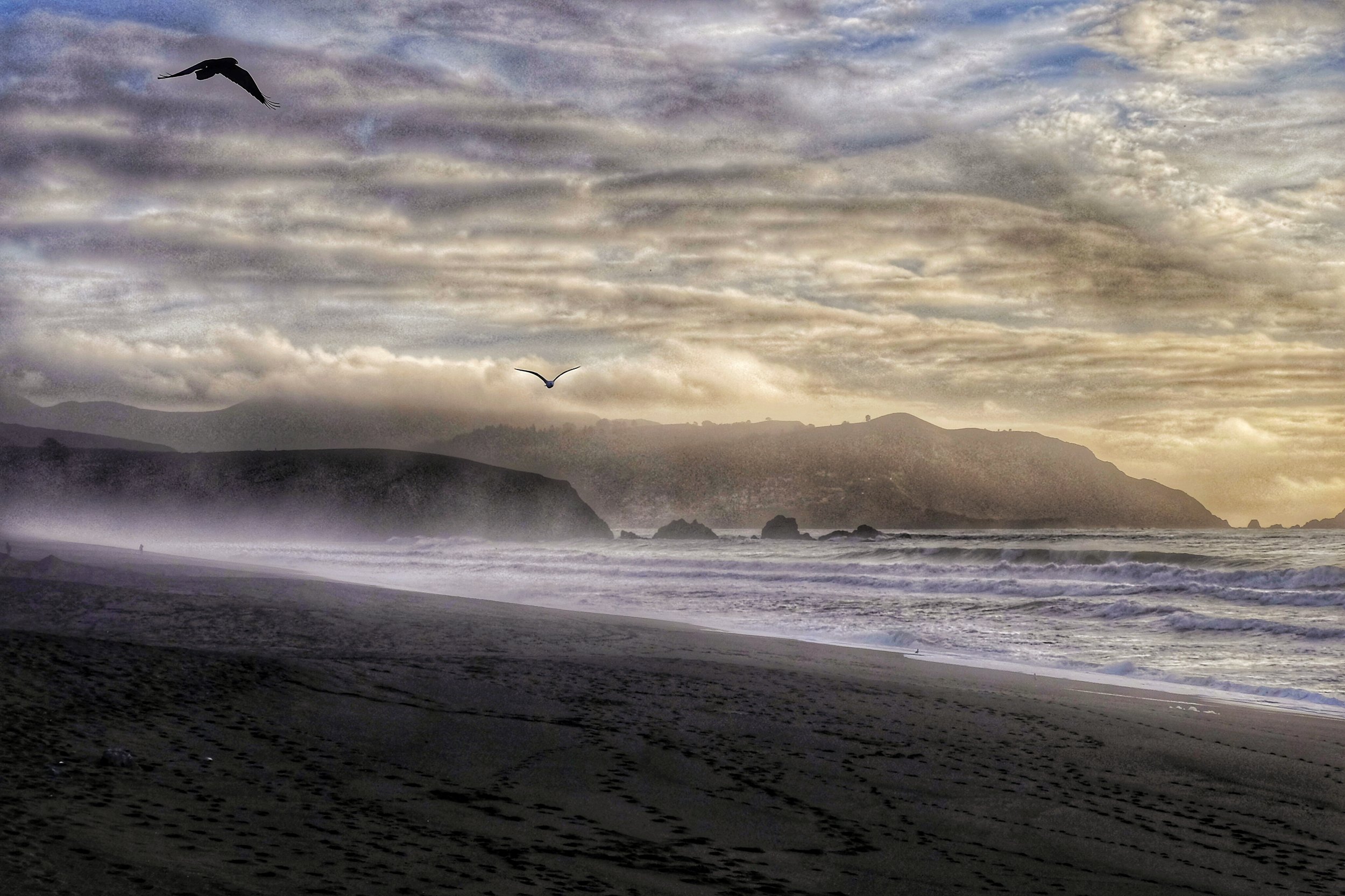 Pacifica Storm 2