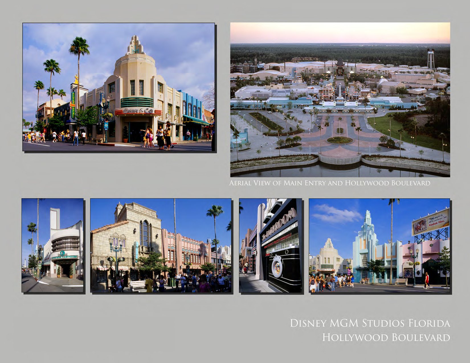 Disney/MGM Studios