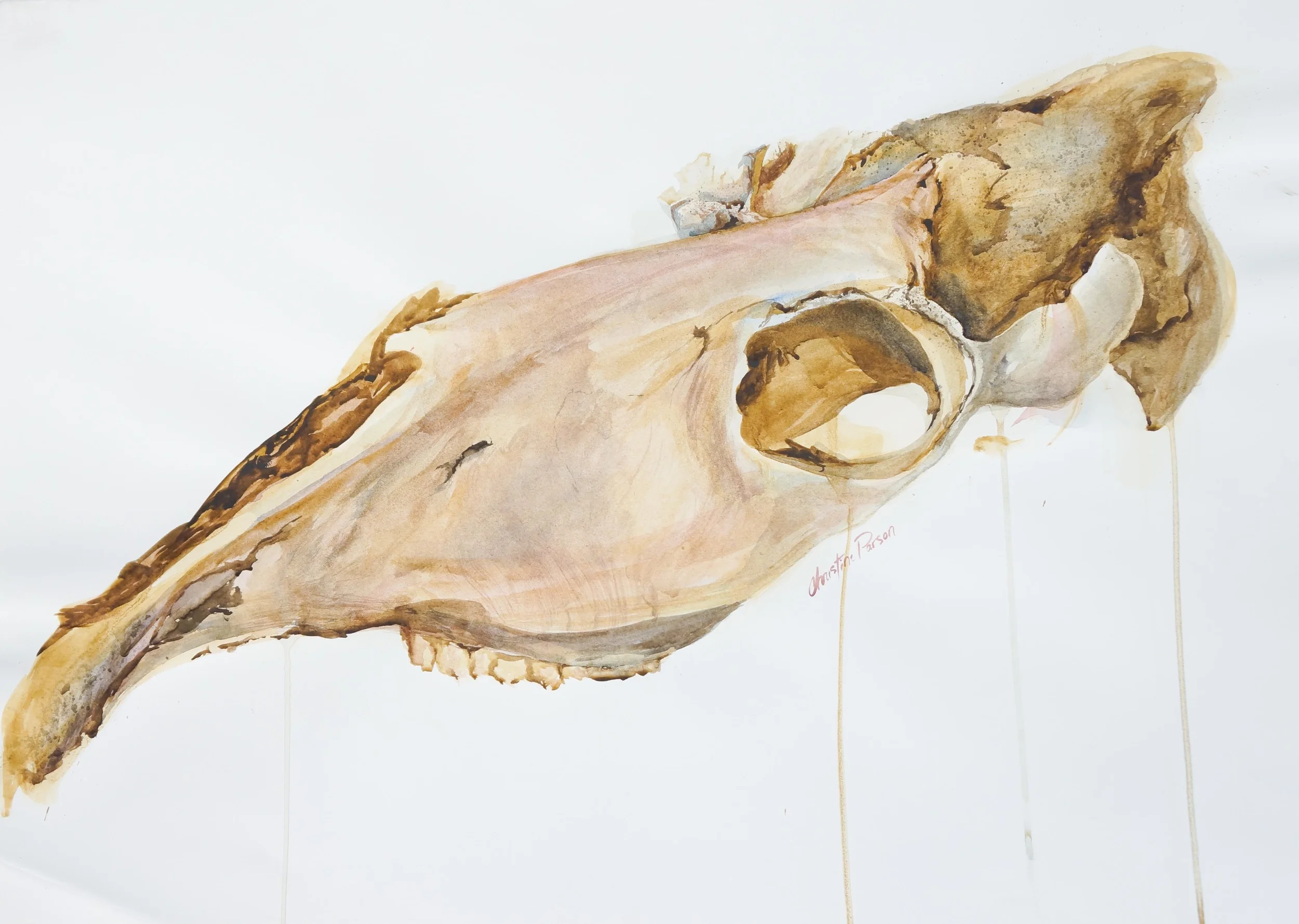 Bones Christine Parson