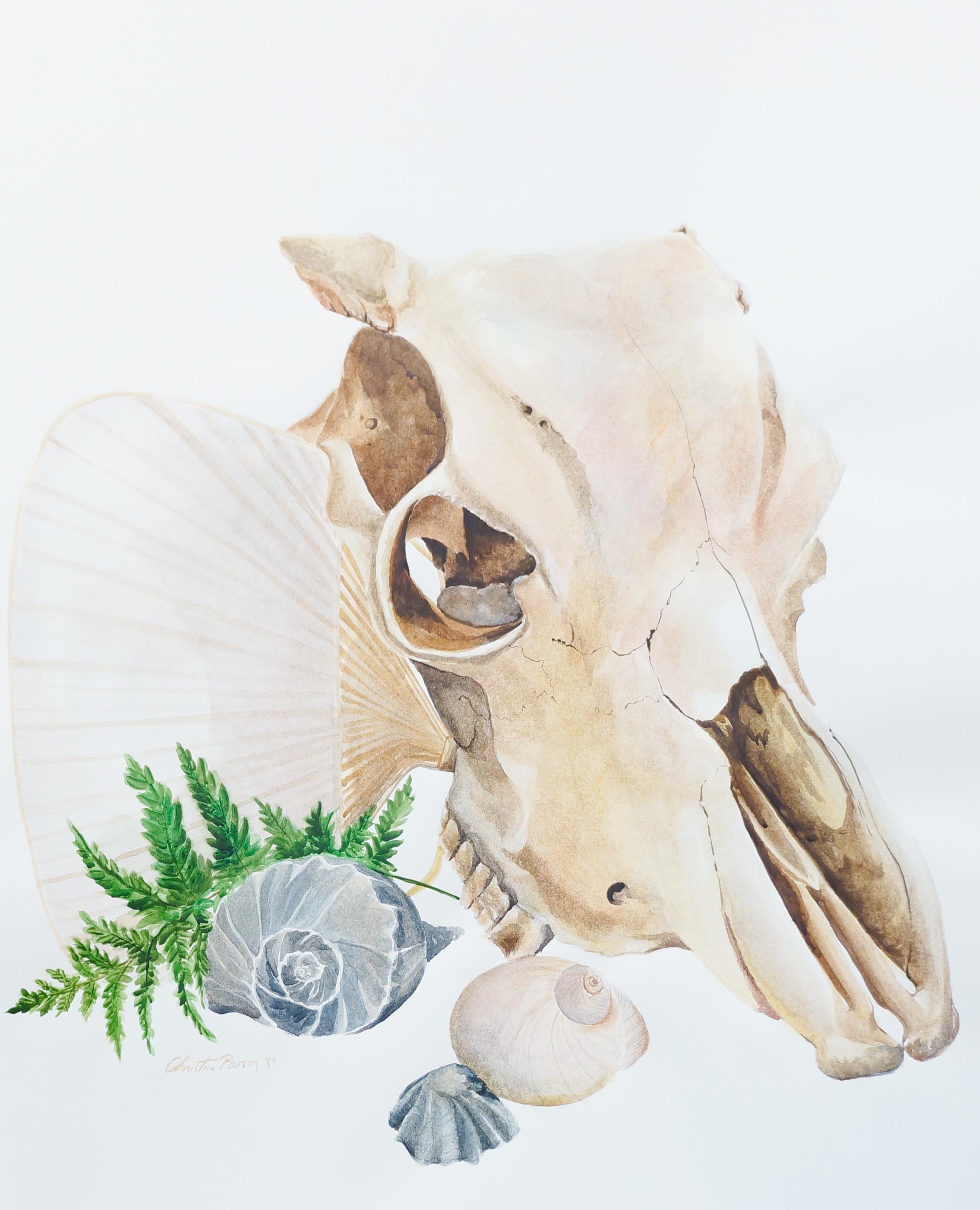 MA (108 of 218).jpg