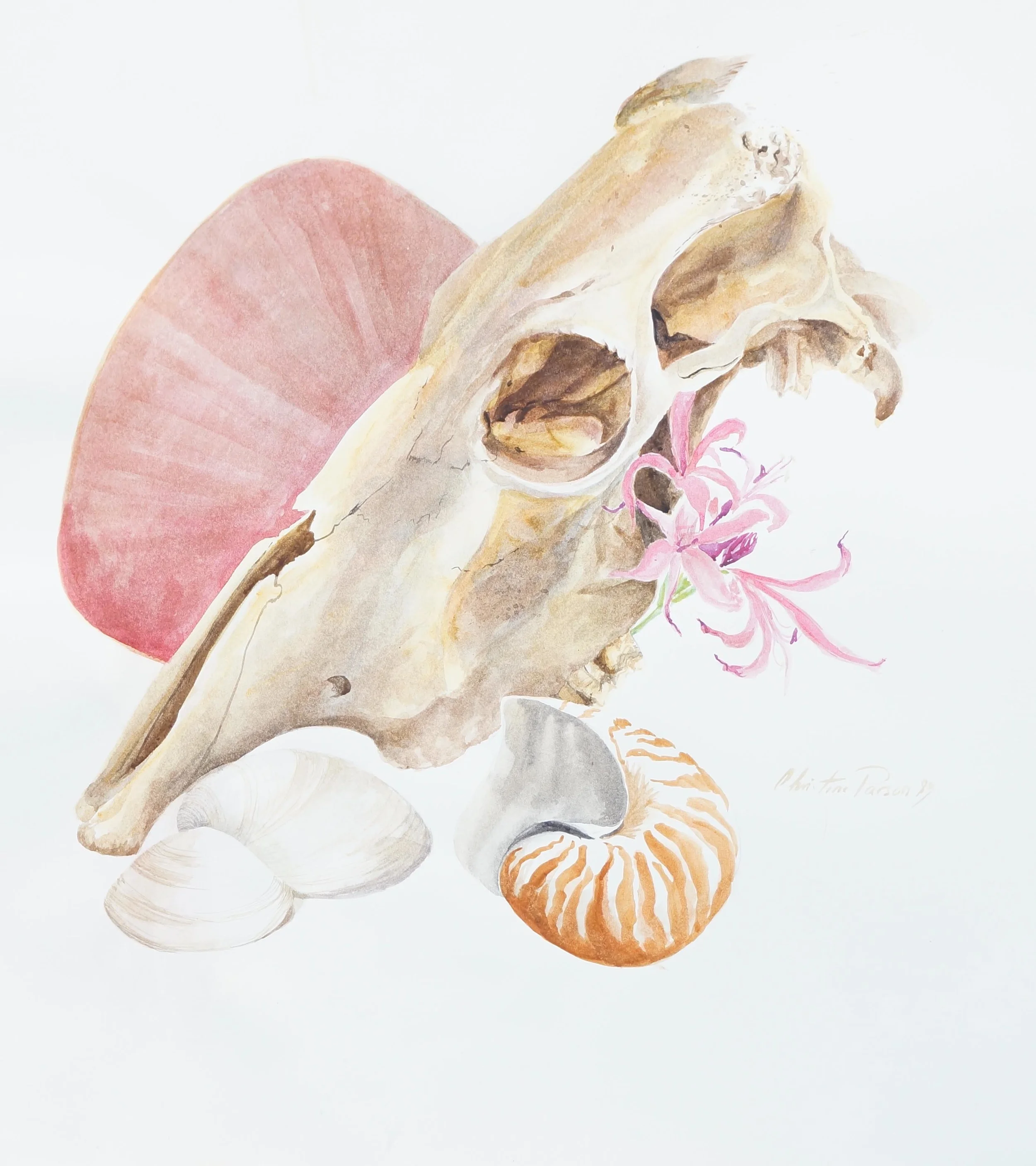MA (96 of 218).jpg