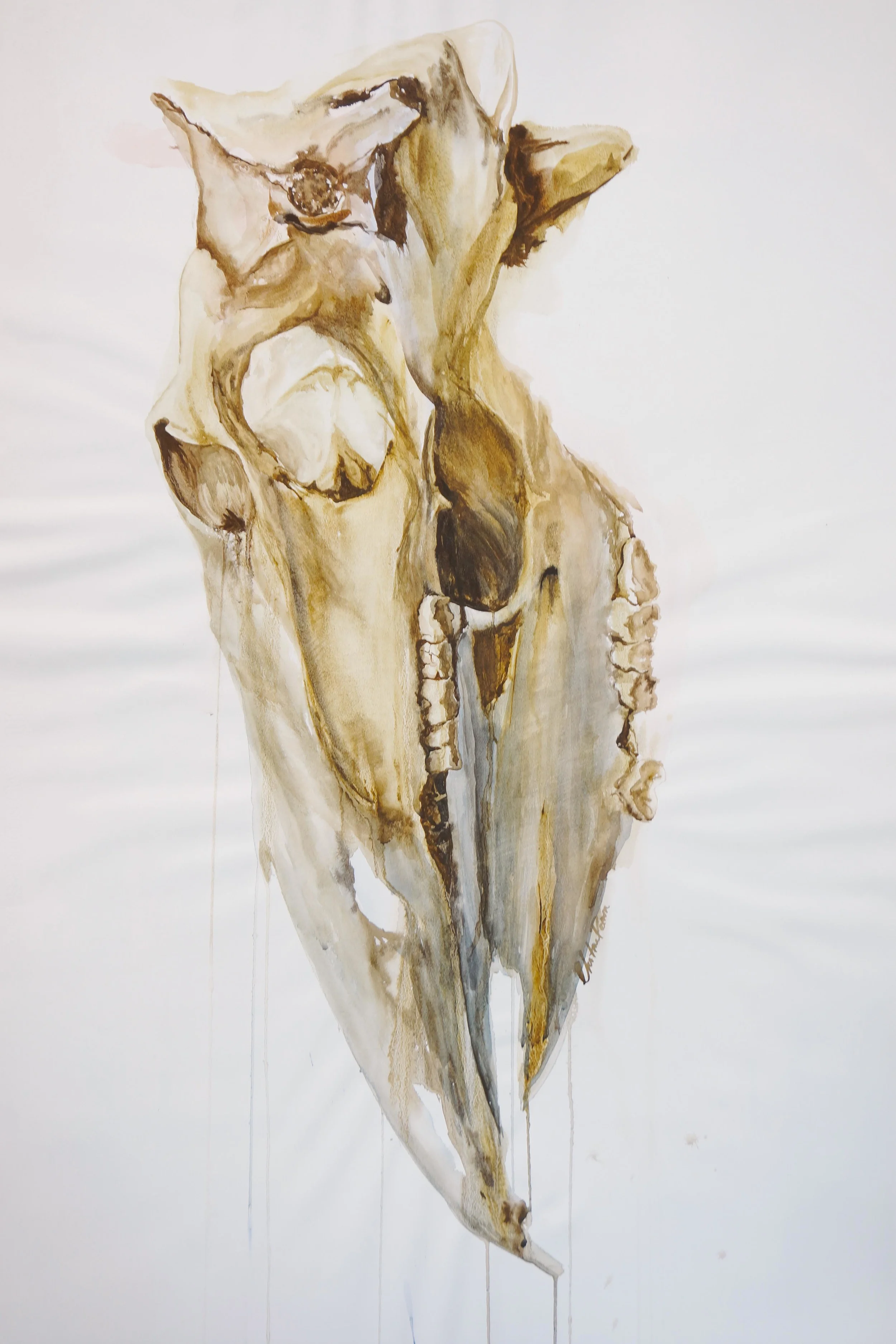MA@ (59 of 65).jpg