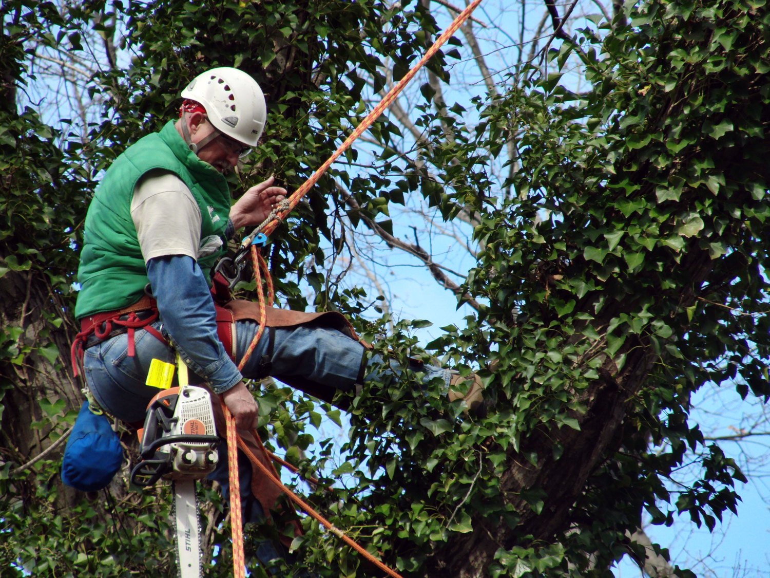 Tree Services - Cresco, Scranton & Mount Pocono, PA - Cutting Edge Tree  Service LLC