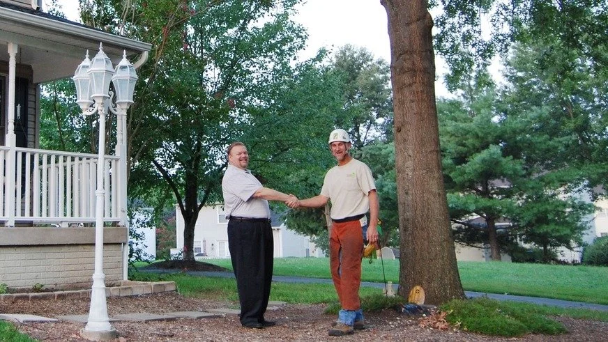 house+tree+and+homeowner- 872 X 491.jpeg