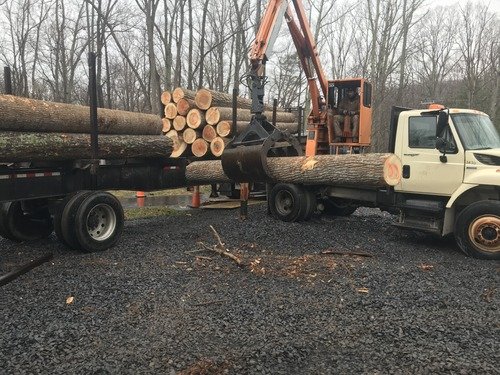 Logs - 500 X 375.jpeg