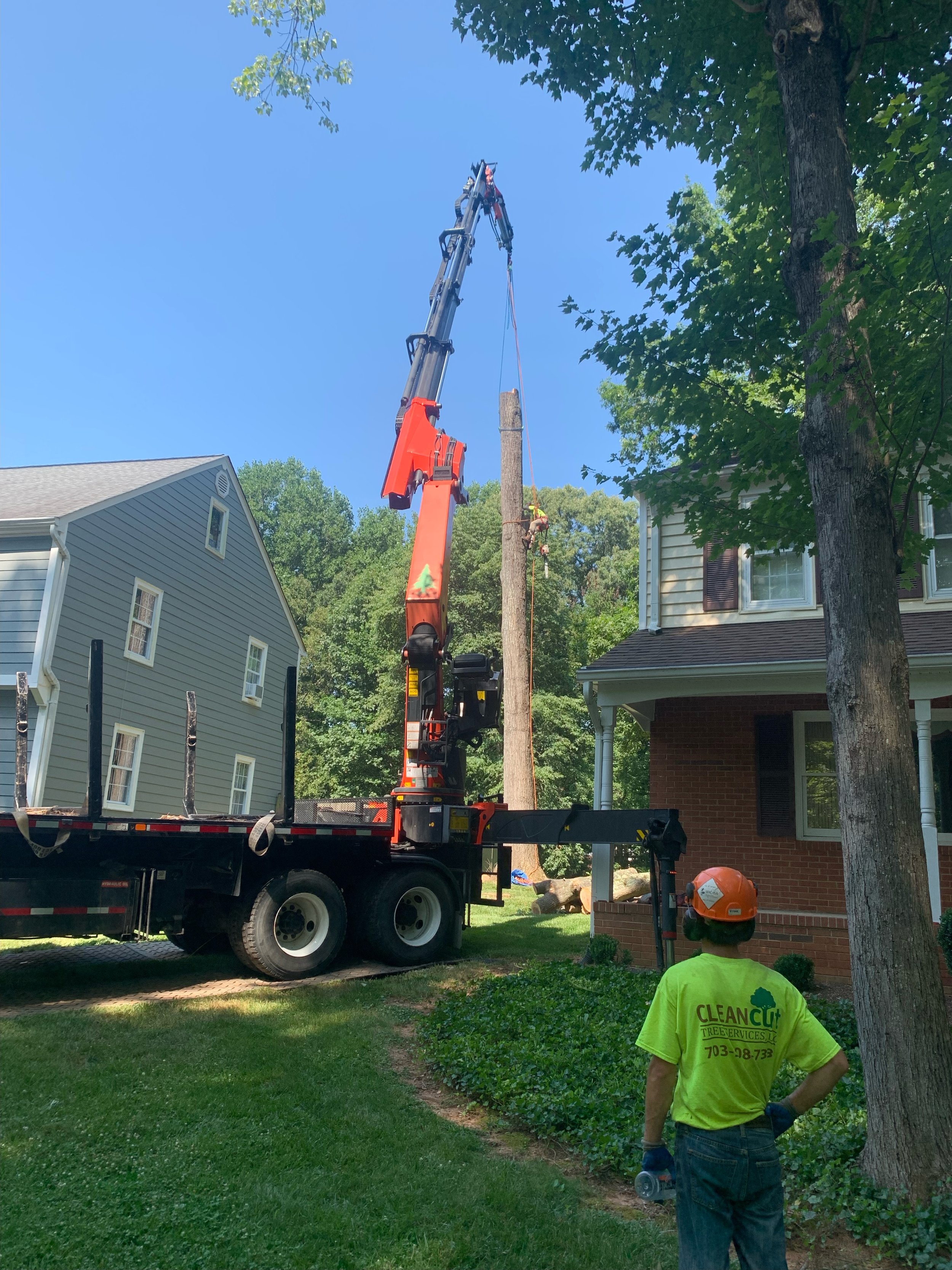 Tree Removal - with Aerial Crane1.jpeg