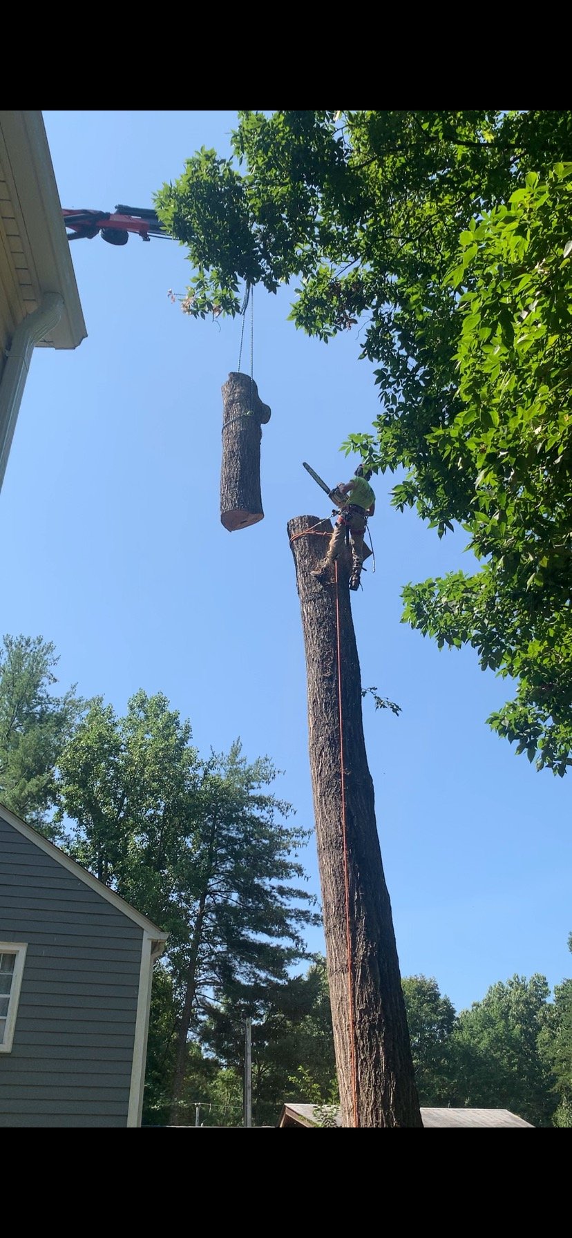 Tree Removal - with Aerial Crane3.jpeg