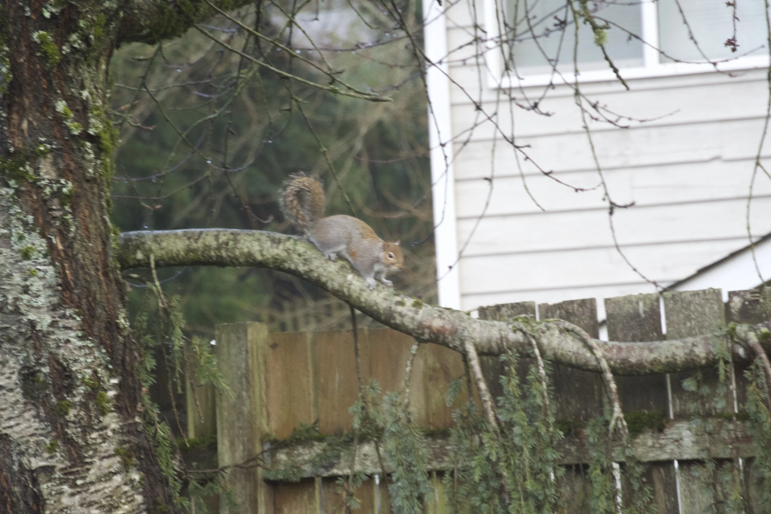 DSC_0944.jpg