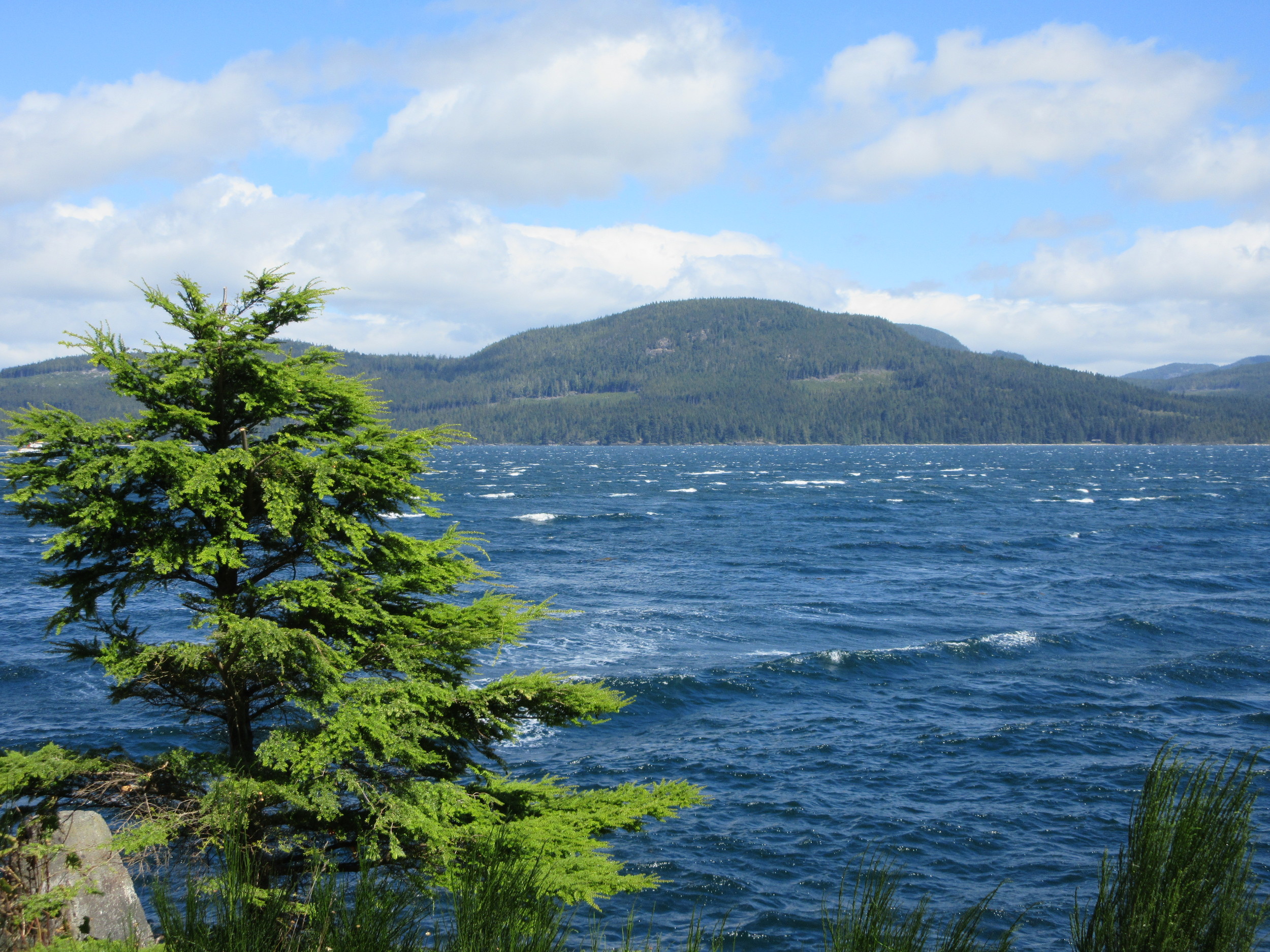Johnstone Strait