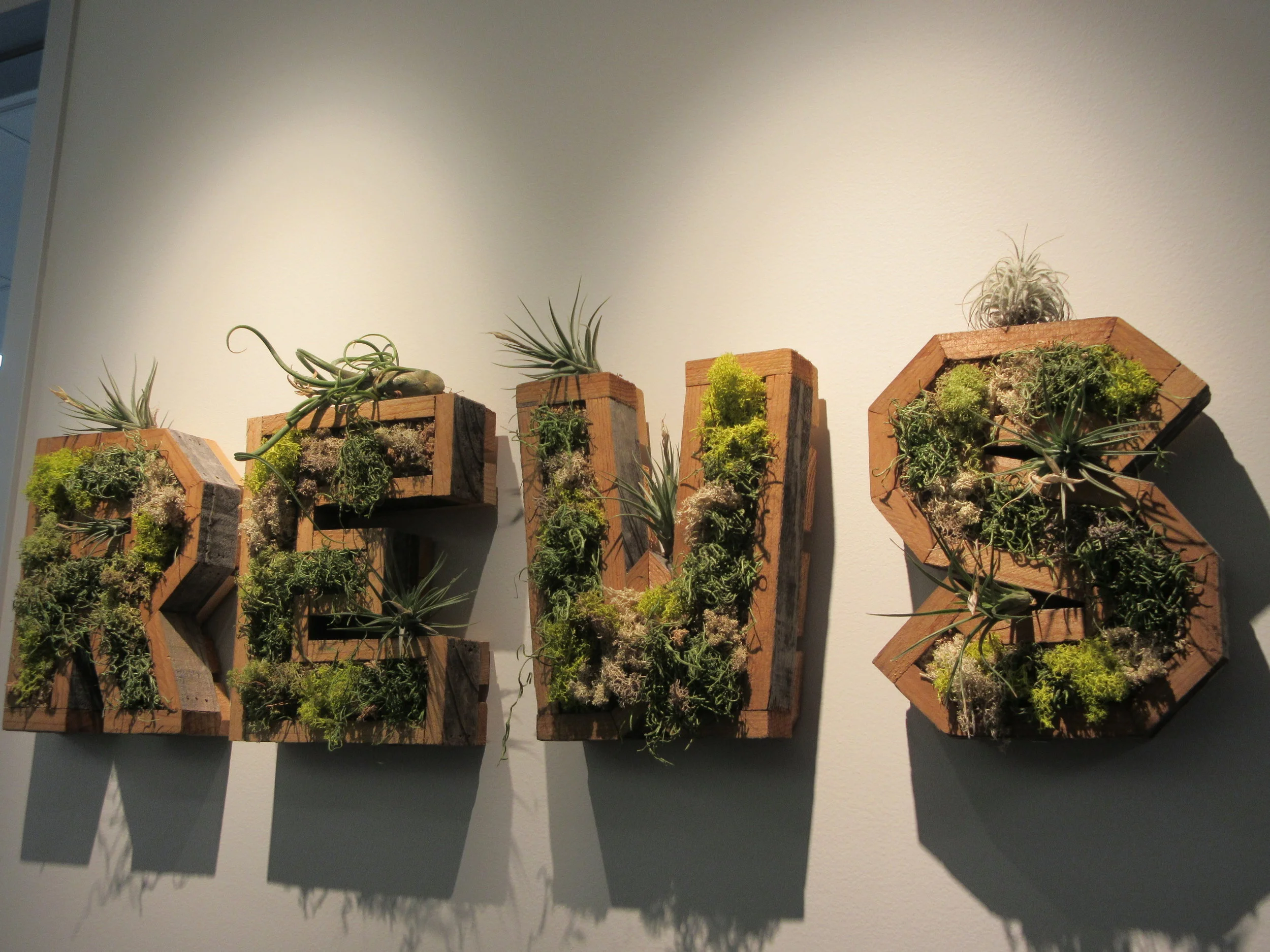 What are the top 10 things I should experience in life?