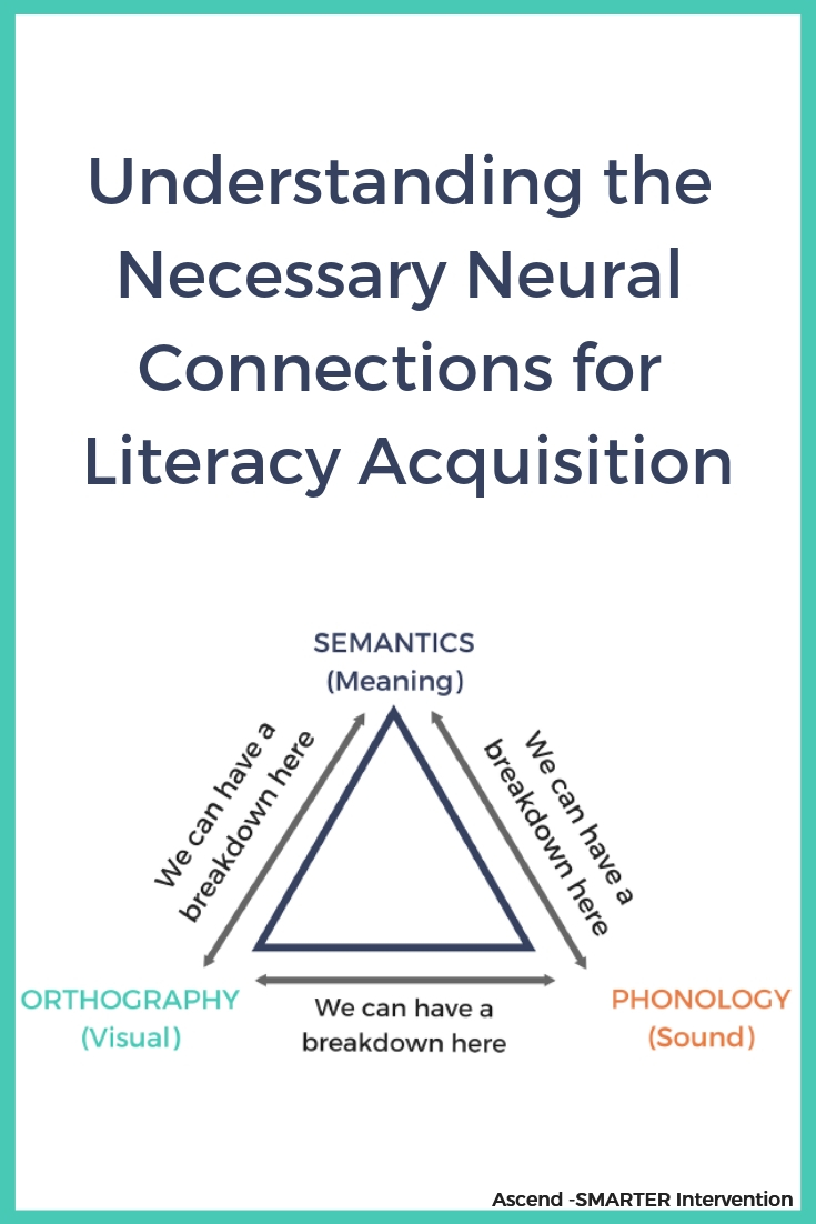 Understanding the necessary neutral connections for literacy aquisition.jpg