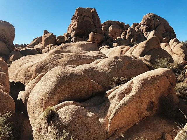 Solitude is the best teacher and nature is the ultimate healer 🙏🏼