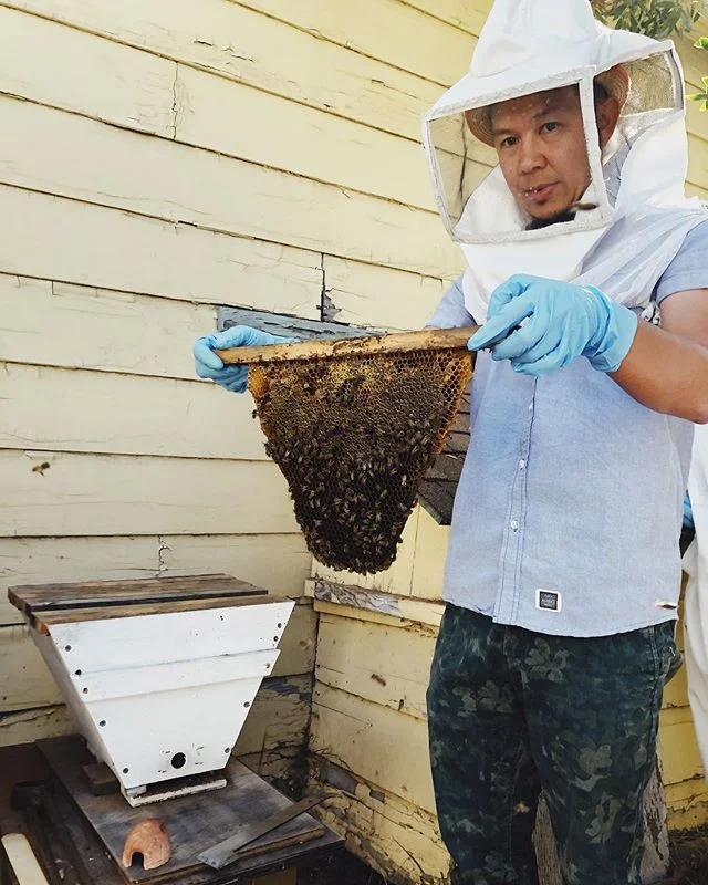 Without these tiny little creatures we wouldn&rsquo;t see the beautiful blooming of flowers or eat literally anything. So, Like, let&rsquo;s save the bees or something 💁🏻&zwj;♀️