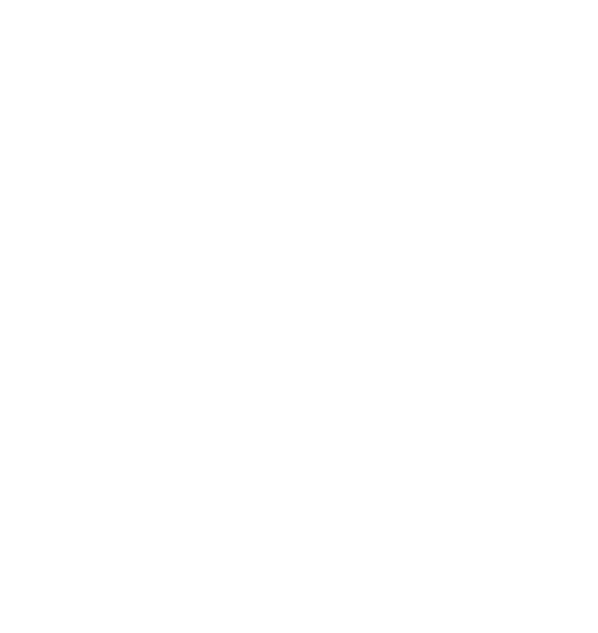 A white illustration of a pomegranate