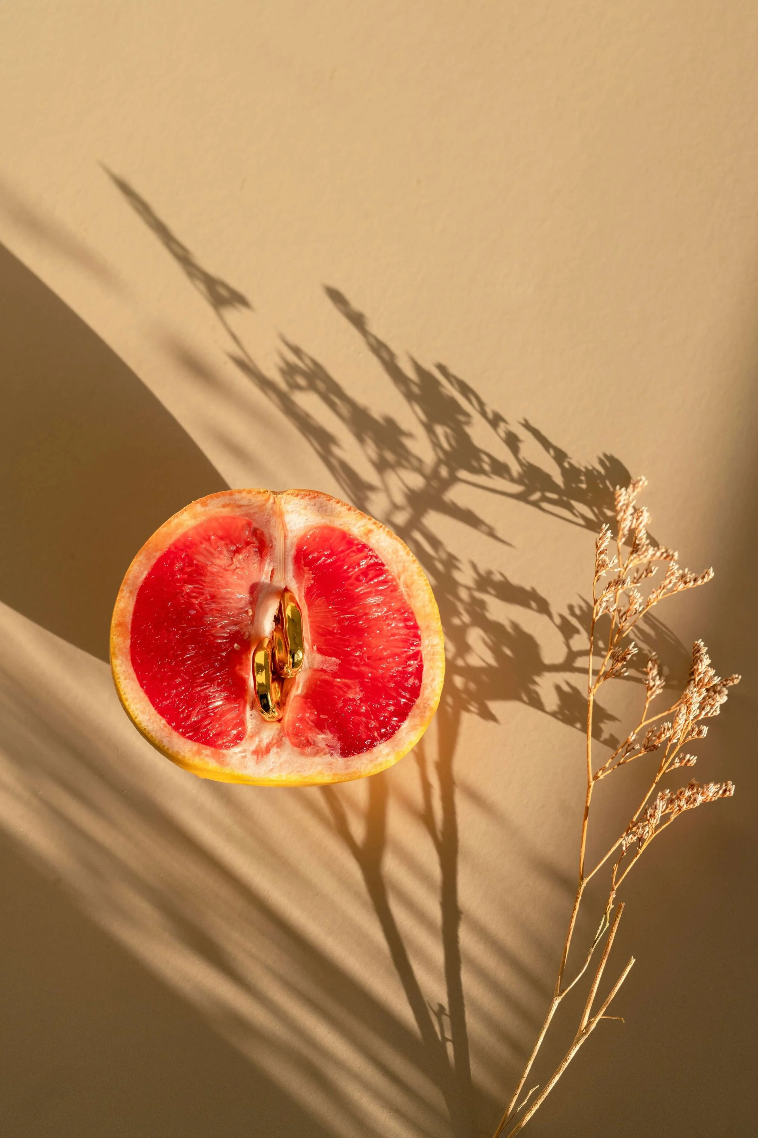 A slice of grapefruit with rings of red flesh and seeds, casting a shadow on a wall, and decorative dried branches nearby.