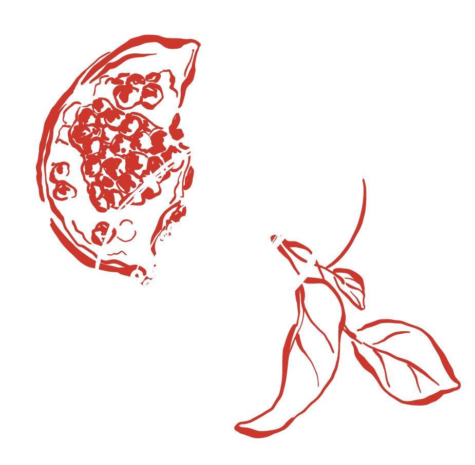 Line drawings of a papaya and pomegranate