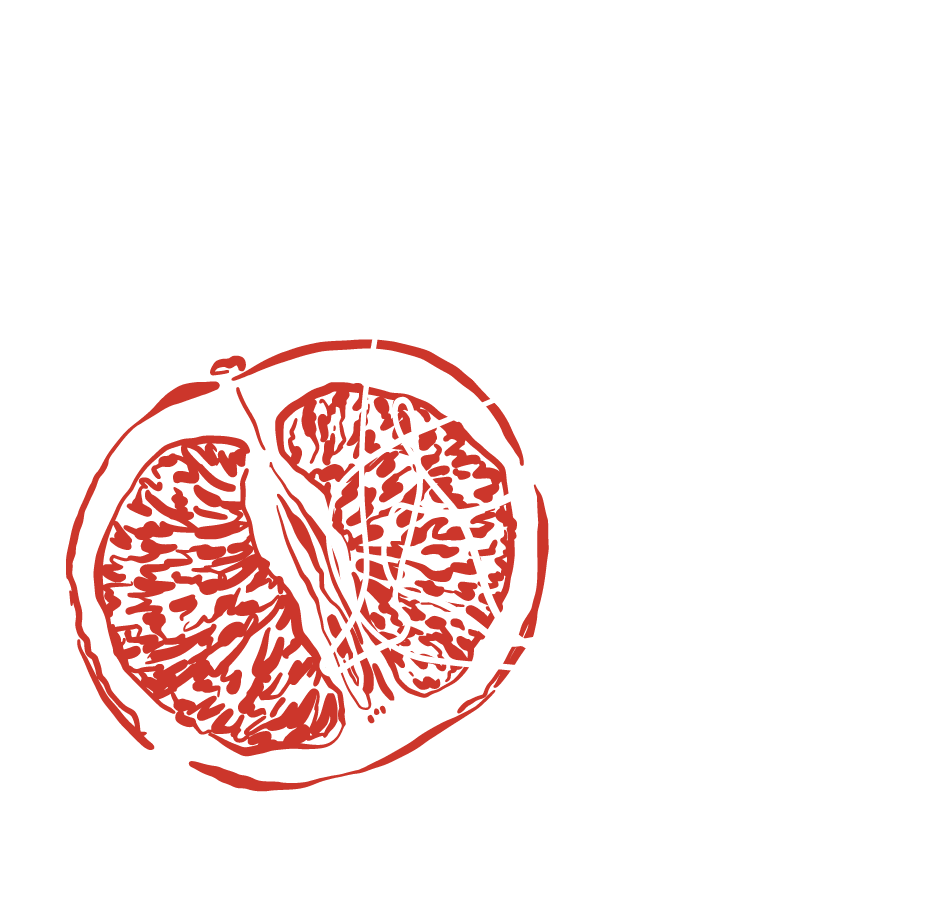 Line drawings on a grapefruit and woman's body