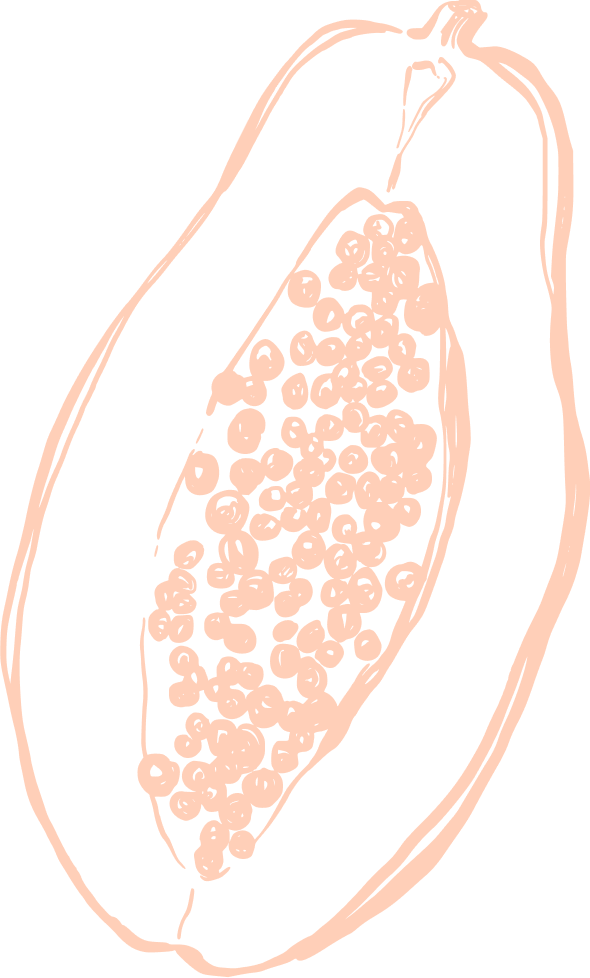 Line drawing of a split open pepper with seeds inside.
