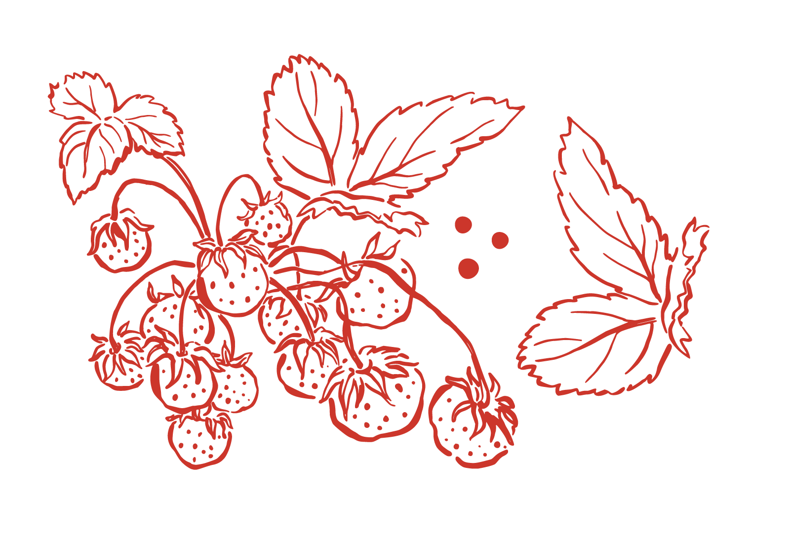 Red line drawing of strawberry plant with leaves and strawberries on a black background.