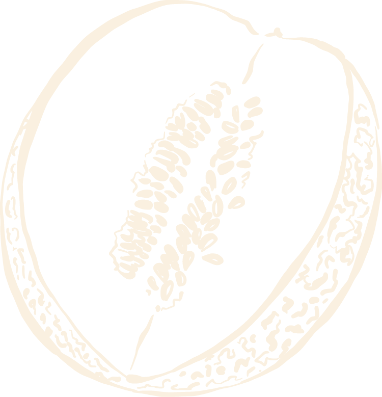 Diagram of a fruit cross-section showing the inner seed and outer shell.