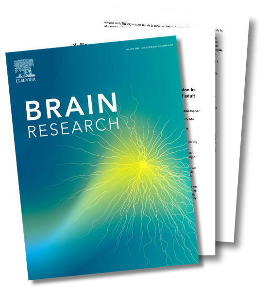 Cover of a scientific journal titled 'Brain Research' with a blue and green gradient background showcasing a yellow neural network illustration.