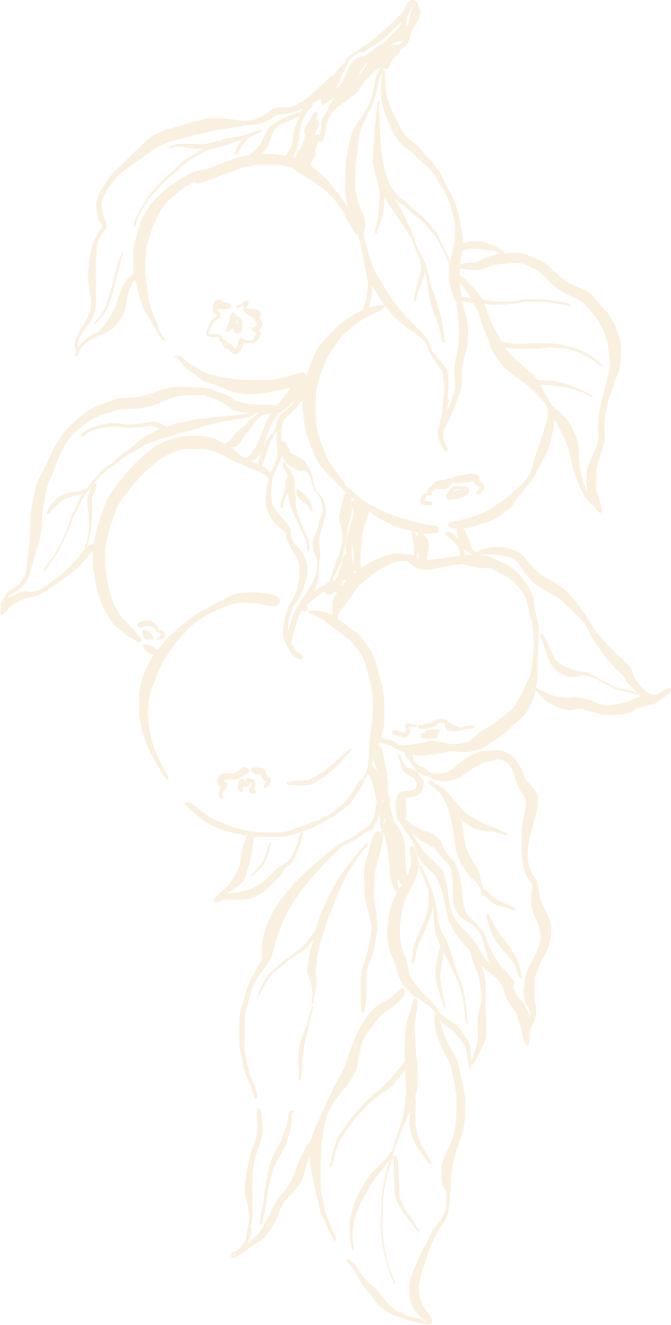 A stylized illustration of a bunch of blueberries with leaves.