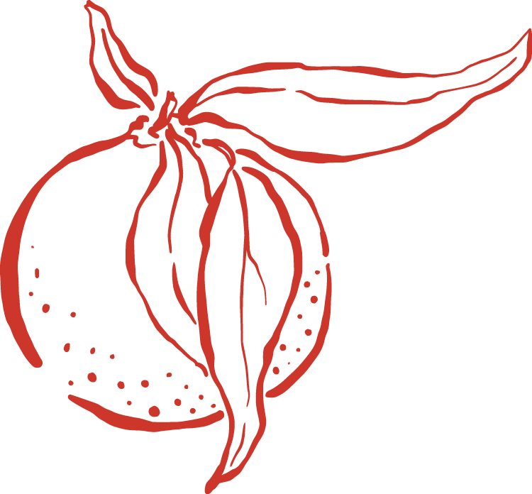 Drawing of a citrus fruit with leaves, outlined in red against a black background.