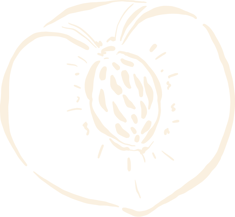 Black and white sketch of a sliced-open peach with a visible pit.