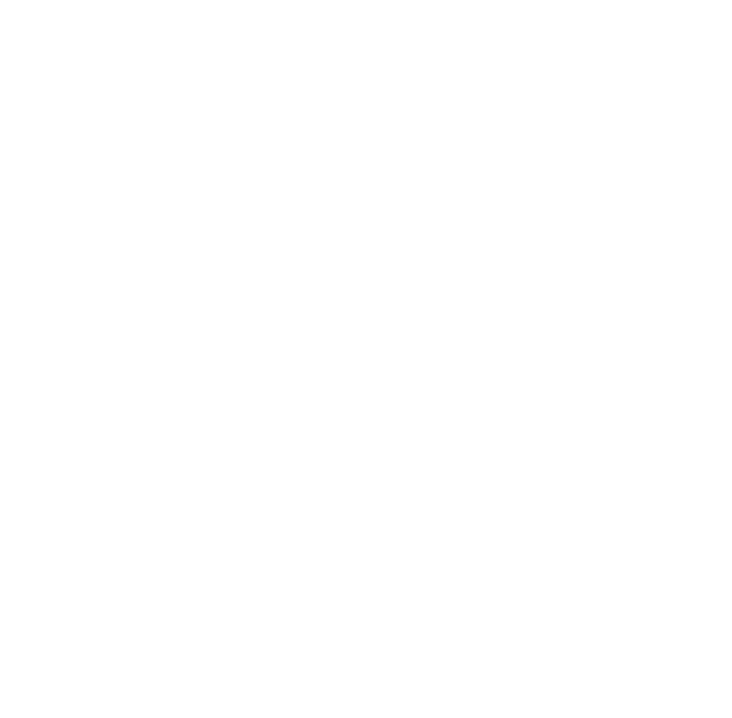 Hand drawing of a halved pomegranate fruit