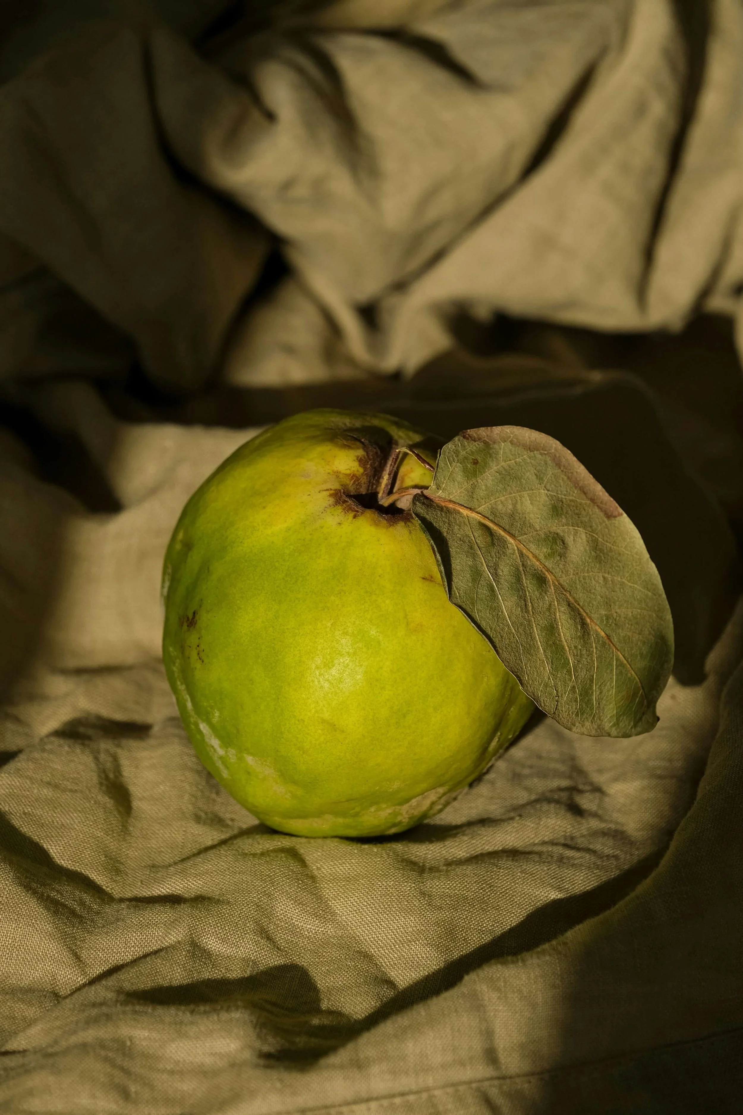 A green apple with a brown leaf attached, resting on a fabric surface with a leaf pattern.