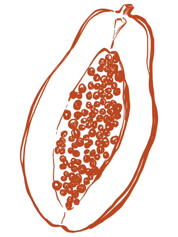 Halved papaya drawing in orange