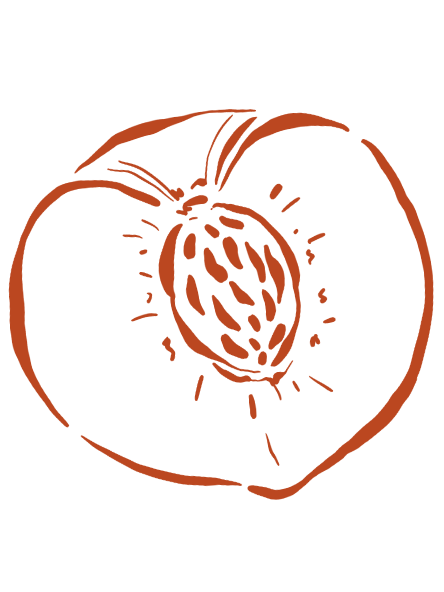 Halved peach drawing in orange