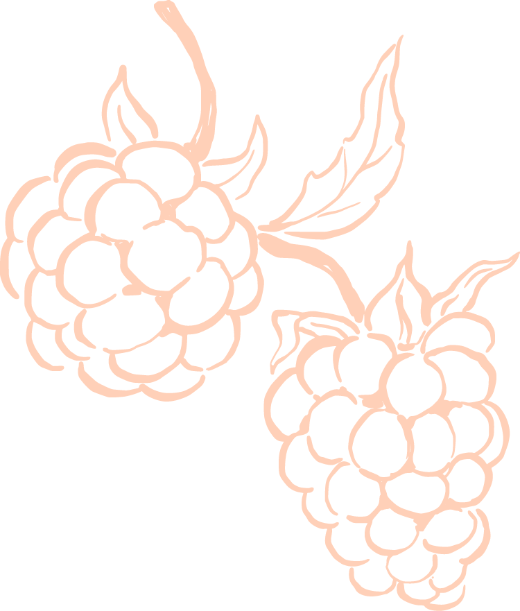 Line drawing of two raspberries with leaves.