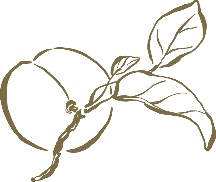 Line drawing of an orange with leaves attached, depicted in a minimalist style.