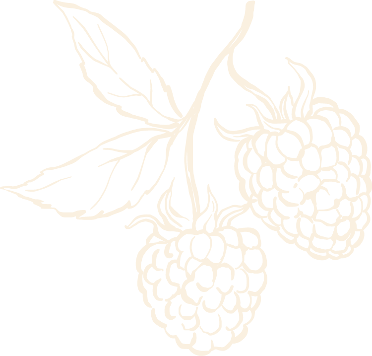 Line drawing of raspberries with leaves.
