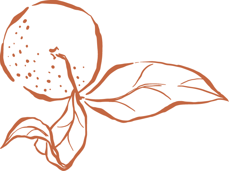 Line drawing of a orange citrus fruit, possibly a lemon or orange, with leaves.