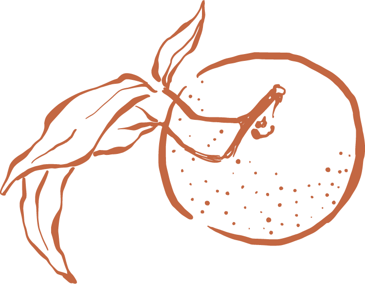 Line drawing of an orange, sliced open with a straw inside and leaves attached.