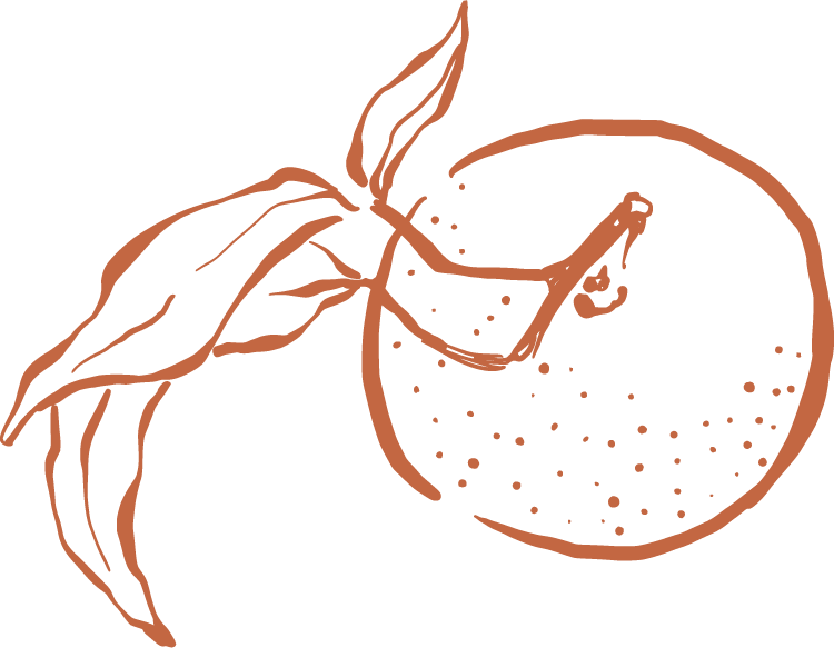 Line drawing of a lemon with leaves.