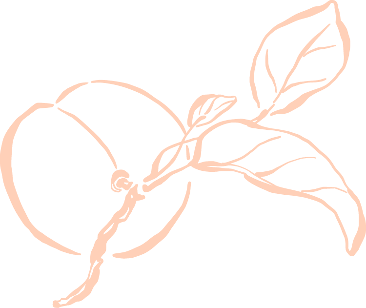 Outline drawing of a peach with leaves on a black background.