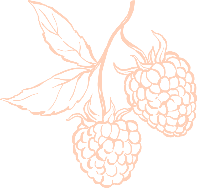 Line drawing of two raspberries with leaves on a black background.